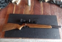 Deportes - Rifle 5.5 co2 - En Venta