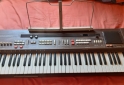 Instrumentos Musicales - Piano Elctrico Sintetizador Casio Casiotone 701 Ct-701 - En Venta