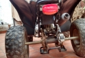 Cuatris y UTVs - Panther 110 2007  600Km - En Venta