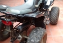 Cuatris y UTVs - Panther 110 2007  600Km - En Venta