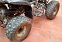 Cuatris y UTVs - Panther 110 2007  600Km - En Venta