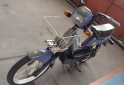 Motos - Zanella 1994 sol 50 1994 Nafta 40000Km - En Venta