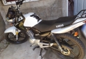 Motos - Yamaha Ybr ed 125 2019 Nafta 36000Km - En Venta