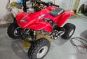 Cuatris y UTVs - Honda Ex 300 1995  111111Km - En Venta