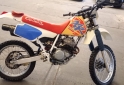 Motos - Honda XR 250 RP 1995 Nafta 60000Km - En Venta