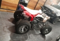 Cuatris y UTVs - Motomel MX 250 2018  145Km - En Venta