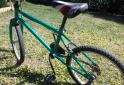 Hogar - Bicicleta rodado 20 - En Venta