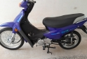 Motos - Motomel Bliz 2024 Nafta 1000Km - En Venta