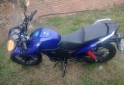 Motos - Honda Twister 125 2023 Nafta 2100Km - En Venta