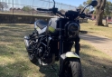 Motos - Benelli LEONCINO 250 2023 Nafta 3900Km - En Venta