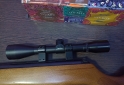 Deportes - Rifle Fox Nitro Piston - En Venta