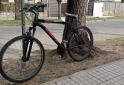 Deportes - BICICLETA MASCULINA SHIMANO RD26/29 - En Venta