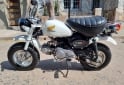 Motos - Honda Z50J 1981 Nafta 1111Km - En Venta