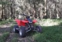 Cuatris y UTVs - Honda Trx 2006  100Km - En Venta