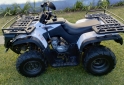 Cuatris y UTVs - Zanella G force 250 2016  800Km - En Venta