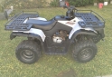 Cuatris y UTVs - Zanella G force 250 2016  800Km - En Venta