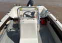 Embarcaciones - TRACKER ELEPHANT 528 - LARSEN MARINE - En Venta