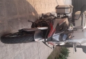 Motos - Voge 500 dsx 2024 Nafta 2320Km - En Venta