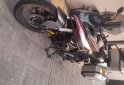 Motos - Voge 500 dsx 2024 Nafta 2320Km - En Venta