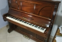 Instrumentos Musicales - Piano RACHALS - En Venta