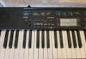 Instrumentos Musicales - Vendo teclado CASIO. Con FUNDA Y PIE PORTATIL. - En Venta