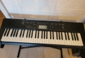 Instrumentos Musicales - Vendo teclado CASIO. Con FUNDA Y PIE PORTATIL. - En Venta