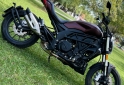 Motos - Benelli 502C 2022 Nafta 2500Km - En Venta