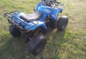 Cuatris y UTVs - Panther CUATRICICLO PANTHER 110CC 2012  111111Km - En Venta