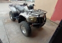 Cuatris y UTVs - Otra marca 520 MAX 2008  111Km - En Venta