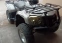 Cuatris y UTVs - Otra marca 520 MAX 2008  111Km - En Venta