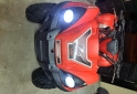 Cuatris y UTVs - Zanella Gforce 300 2008  1111Km - En Venta