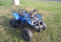 Cuatris y UTVs - Panther PANTHER 110 PARRILLERO 2012  111111Km - En Venta