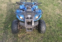 Cuatris y UTVs - Panther PANTHER 110 PARRILLERO 2012  111111Km - En Venta