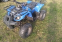 Cuatris y UTVs - Panther PANTHER 110 PARRILLERO 2012  111111Km - En Venta