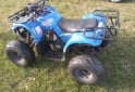 Cuatris y UTVs - Panther PANTHER 110 PARRILLERO 2012  111111Km - En Venta