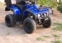 Cuatris y UTVs - Otra marca Dayama 2013  4500Km - En Venta