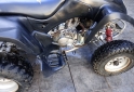 Cuatris y UTVs - Guerrero Guerrero Mapuche 200cc 2009  1200Km - En Venta