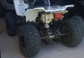 Cuatris y UTVs - Yamaha blaster 2007 Diesel 111111Km - En Venta