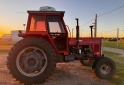 Camiones y Gras - 1992 Massey Ferguson 1195 S-2 - En Venta