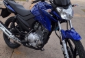 Motos - Yamaha Ybr 125 z 2024 Nafta 500Km - En Venta