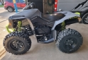 Cuatris y UTVs - Can Am Can am renegade 2013  8000Km - En Venta