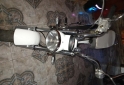 Motos - Motomel Max 110 2023 Nafta 810Km - En Venta