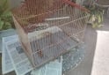 Hogar - Vendo 2 jaulas para pajaros - En Venta