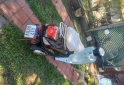 Motos - Motomel Estrato euro 2023 Nafta 4500Km - En Venta