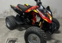 Cuatris y UTVs - Motomel Volkano 250 cc 2013  111Km - En Venta