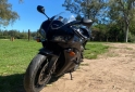 Motos - Honda CBR 600 rr 2010 Nafta 29000Km - En Venta