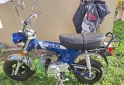 Motos - Mondial Dax 2023 Nafta 219Km - En Venta