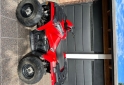 Cuatris y UTVs - Polaris Sportman efi 2017  8000Km - En Venta