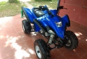 Cuatris y UTVs - Guerrero GFT 350 2015  116Km - En Venta