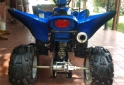 Cuatris y UTVs - Guerrero GFT 350 2015  116Km - En Venta